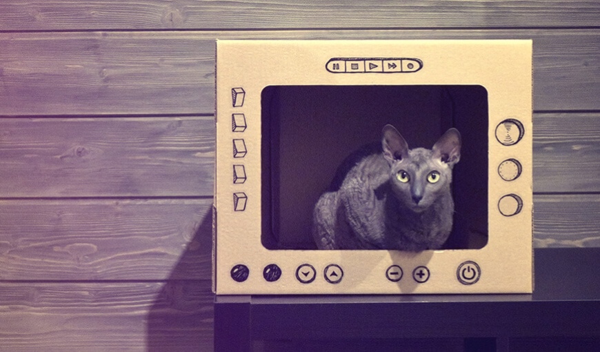 PaperCat – домики для кошек и людей