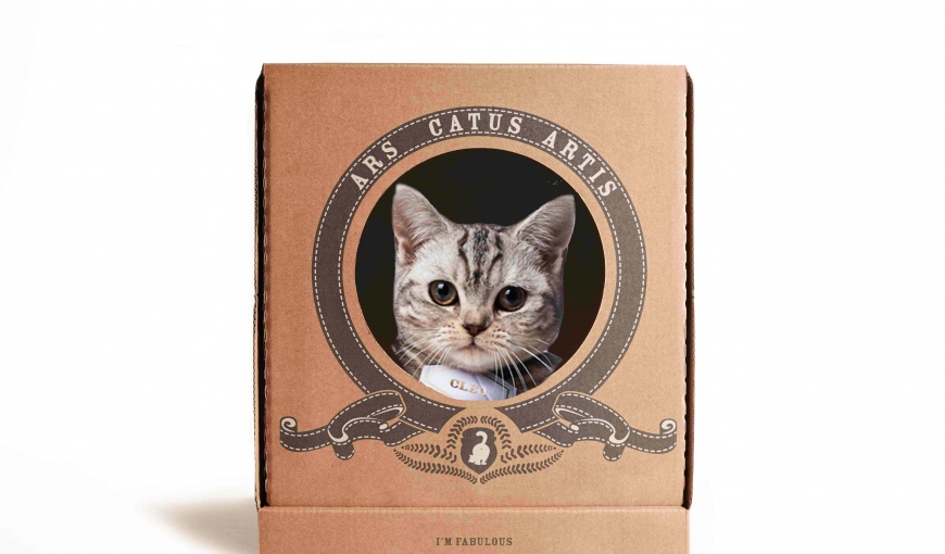 Poopy Cat Box – кошачьи лотки для ленивых