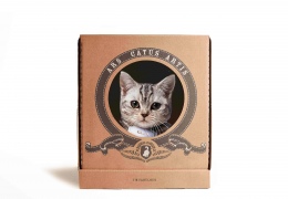 Poopy Cat Box – кошачьи лотки для ленивых