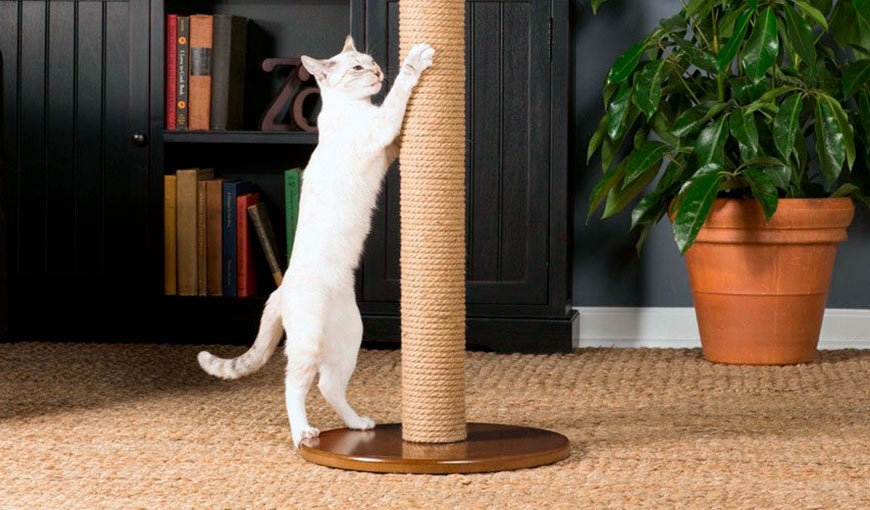 Когтеточка-столб TRIXIЕ 4306 для кошек с игрушкой и мышкой на пружине, сизаль 50см