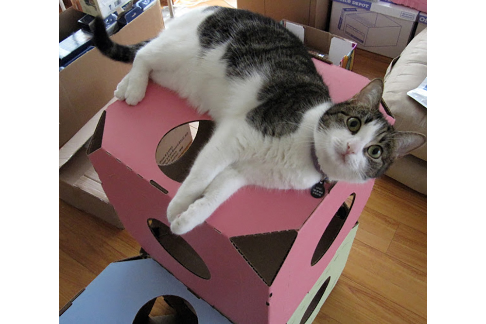 Картонные домики CattyStacks