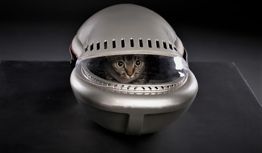 WAUL - «космическая» переноска для кошек