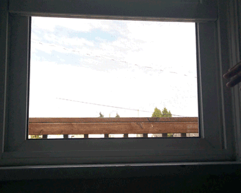 Кошка упала с балкона, кот выпал в окно? Этого можно было избежать!