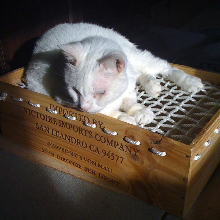 Сделай сам: кошачья мебель из винных ящиков!