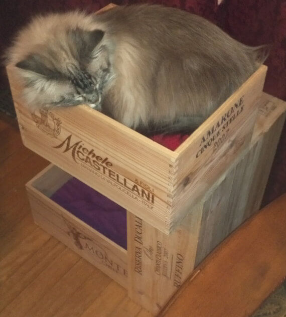 Сделай сам: кошачья мебель из винных ящиков!