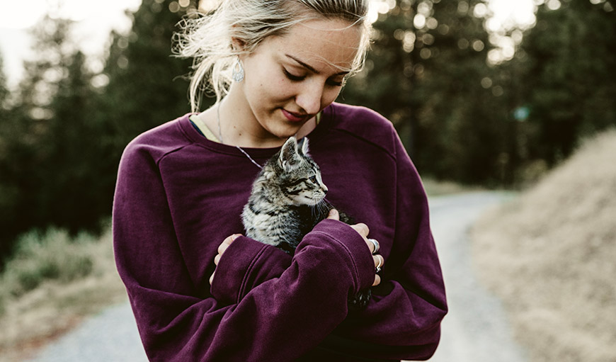 Жизнь домашних кошек: что нужно для полного счастья