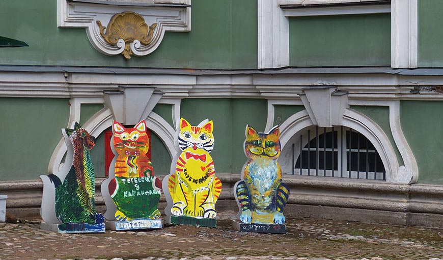 Странные коты Санкт-Петербурга