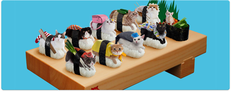 Кошки-суши из параллельной вселенной